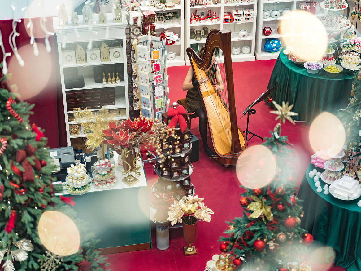 Bild 3: Harfenspielerin im GERNGROSS